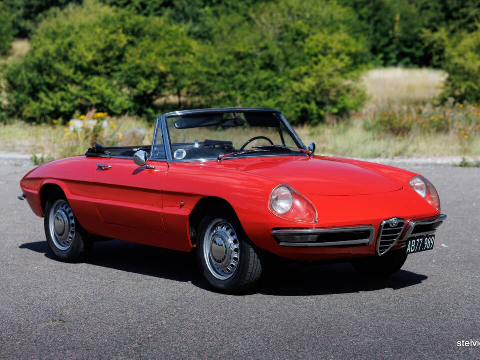 Afbeelding 6/37 van Alfa Romeo 1600 Spider Duetto (1966)