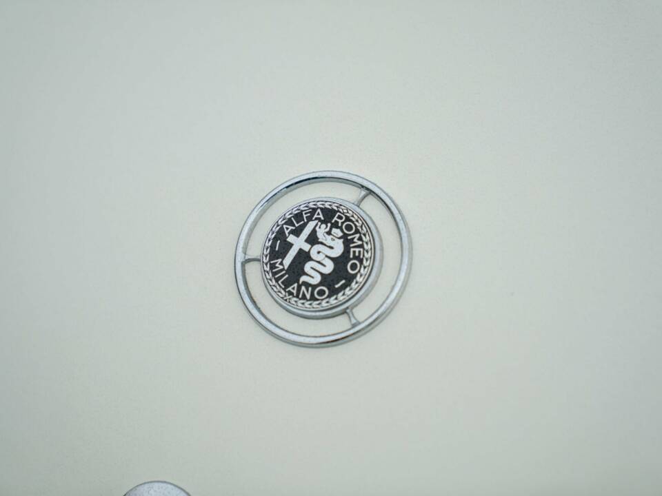 Bild 12/50 von Alfa Romeo Giulia Sprint Speciale (1964)