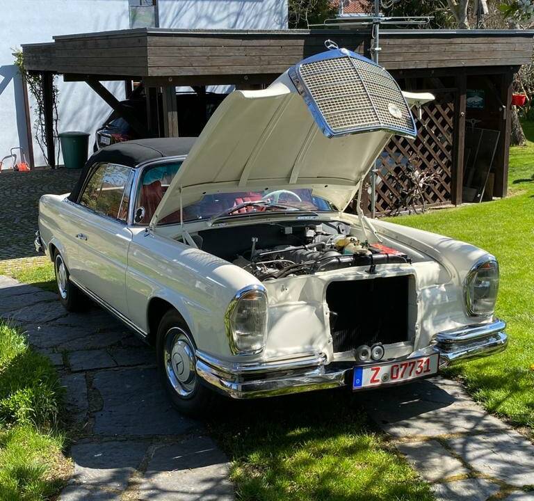 Bild 29/77 von Mercedes-Benz 250 SE (1966)