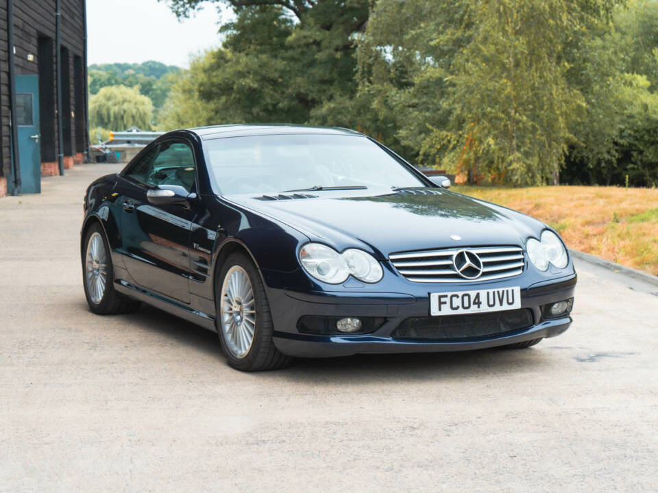 Bild 14/50 von Mercedes-Benz SL 55 AMG (2004)