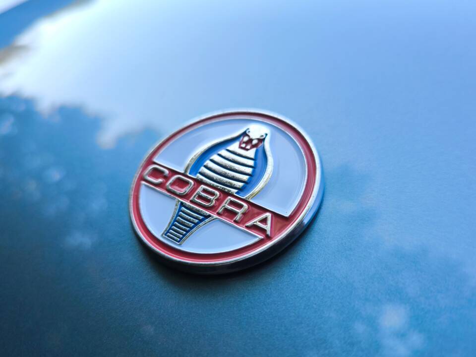 Bild 16/26 von AC Cobra 289 (1963)