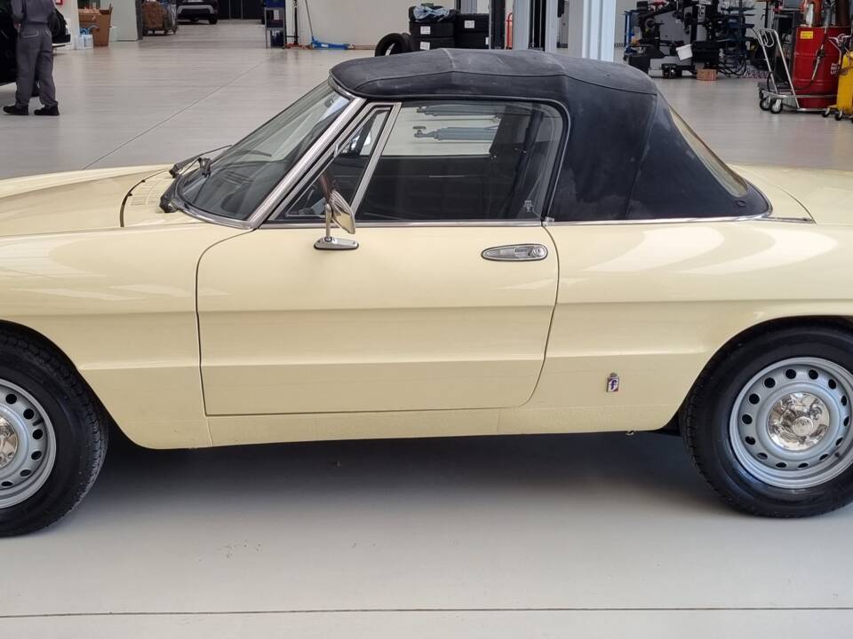 Bild 5/10 von Alfa Romeo 1600 Spider (1981)