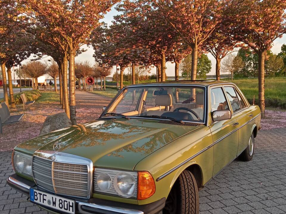 Bild 11/13 von Mercedes-Benz 200 (1980)