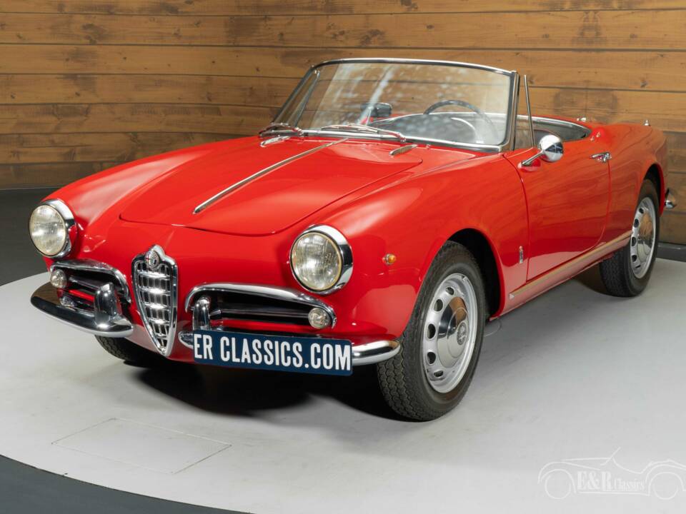 Immagine 5/8 di Alfa Romeo Giulietta Spider (1961)