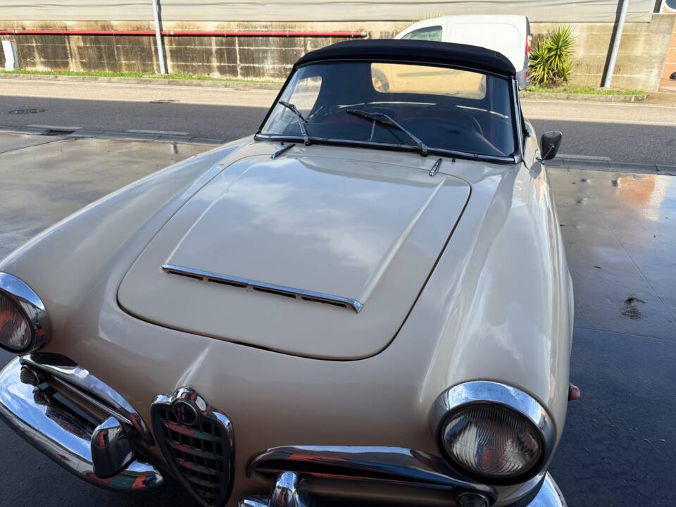 Bild 12/100 von Alfa Romeo Giulia 1600 Spider (1962)