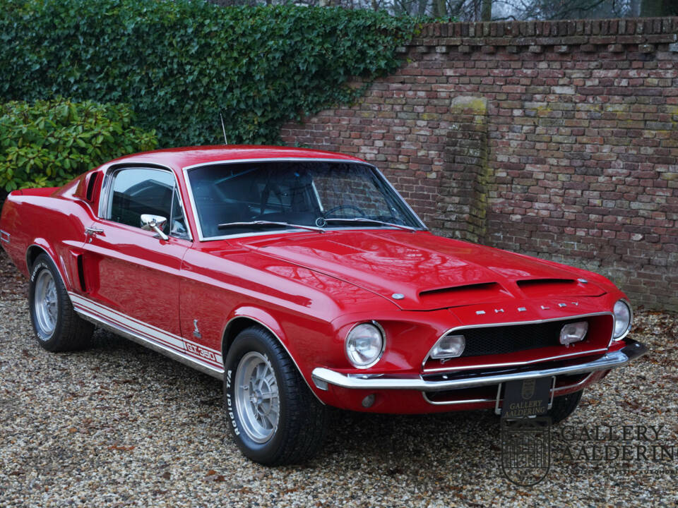 Image 50/50 de Ford Shelby GT 350 (1968)