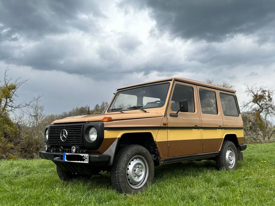 Bild 5/18 von Steyr-Puch 300 GD (lang) (1982)