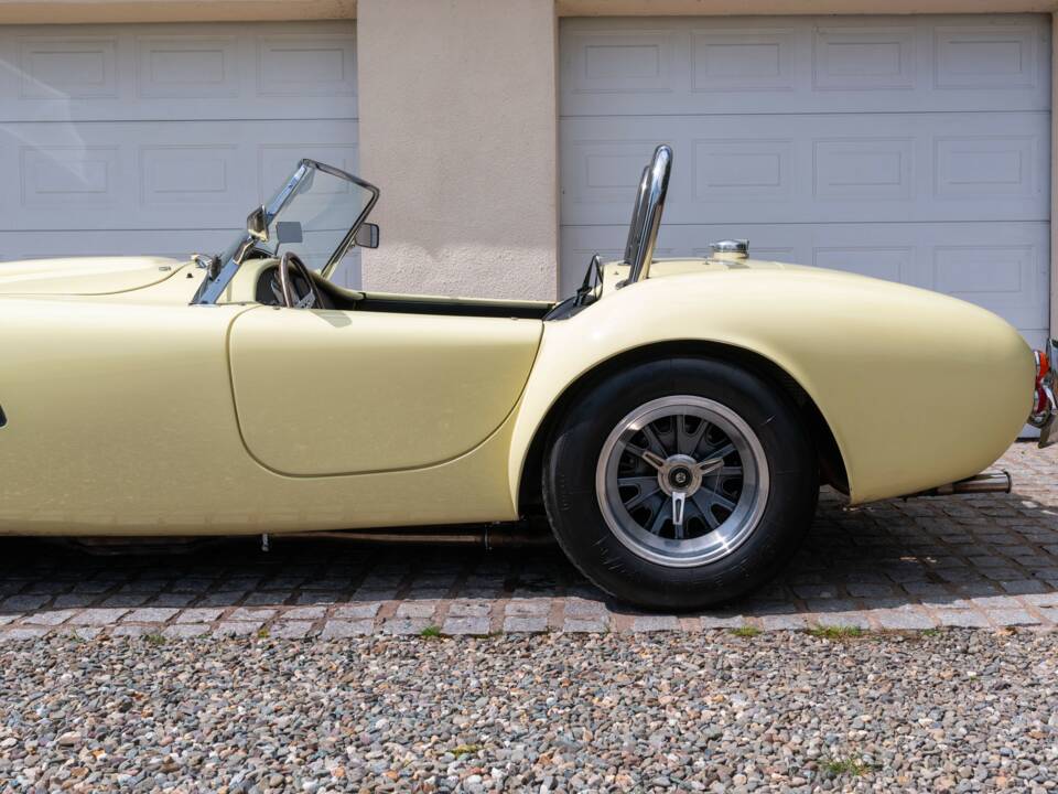 Bild 12/51 von AC Cobra 289 (1999)