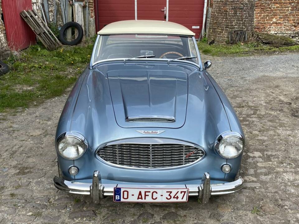 Image 2/8 de Austin-Healey 100/6 (BN4) (1957)