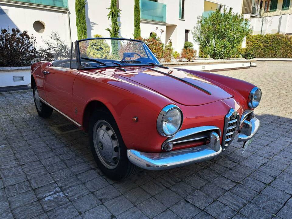 Image 4/12 of Alfa Romeo Giulietta Spider (1961)