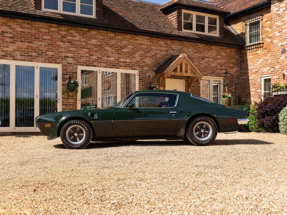 Immagine 10/49 di Pontiac Firebird TransAm (1973)