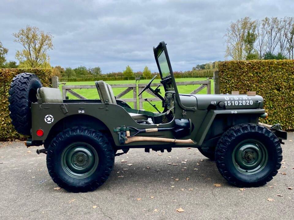 Immagine 3/16 di Willys Jeep M38 A1 (1952)