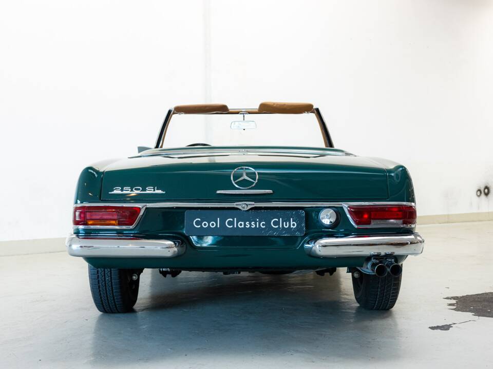 Immagine 8/32 di Mercedes-Benz 250 SL (1967)