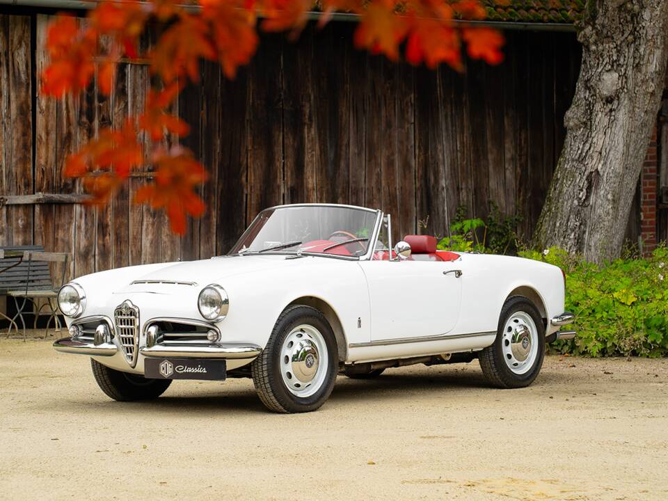 Bild 1/43 von Alfa Romeo Giulia 1600 Spider (1964)