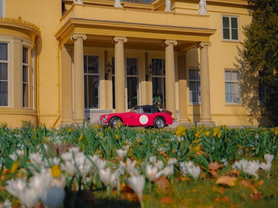 Imagen 50/52 de Austin-Healey 3000 Mk III (BJ8) (1965)