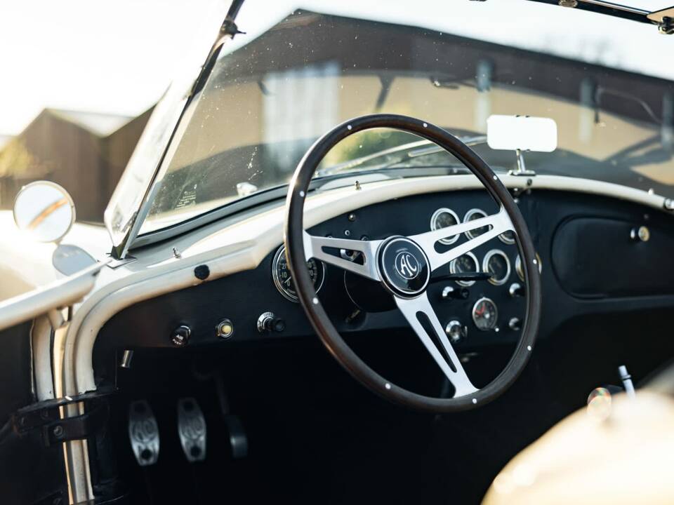 Afbeelding 17/49 van Shelby Cobra 289 (1964)