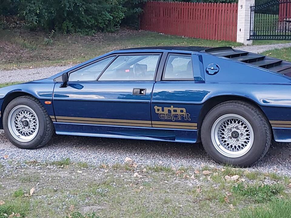 Image 8/16 of Lotus Esprit Turbo (1982)