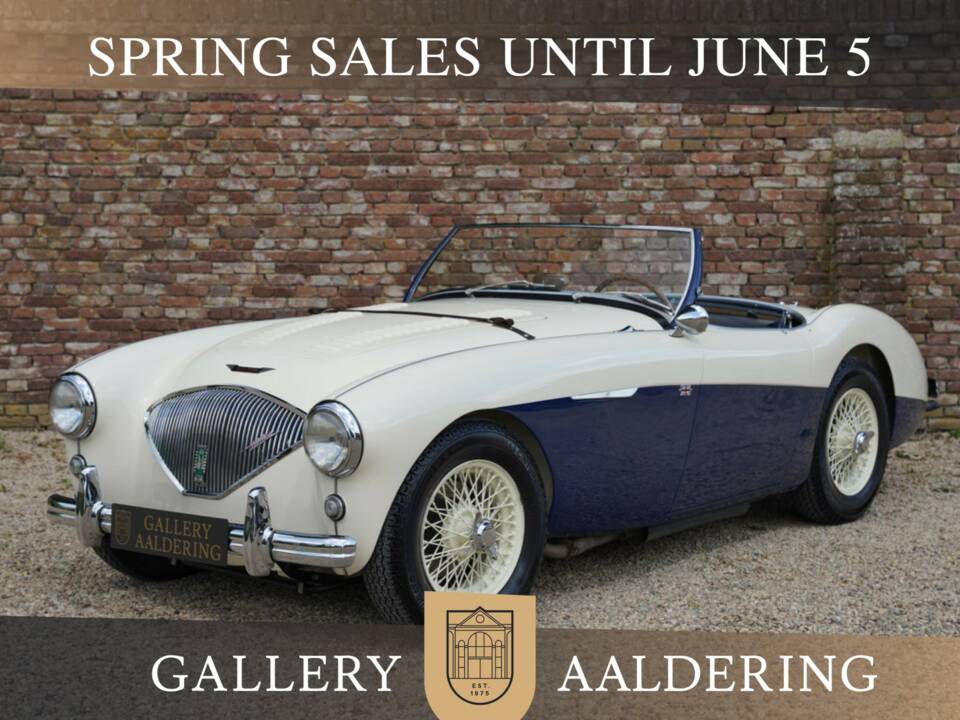 Bild 1/50 von Austin-Healey 100/4 (BN1) (1954)