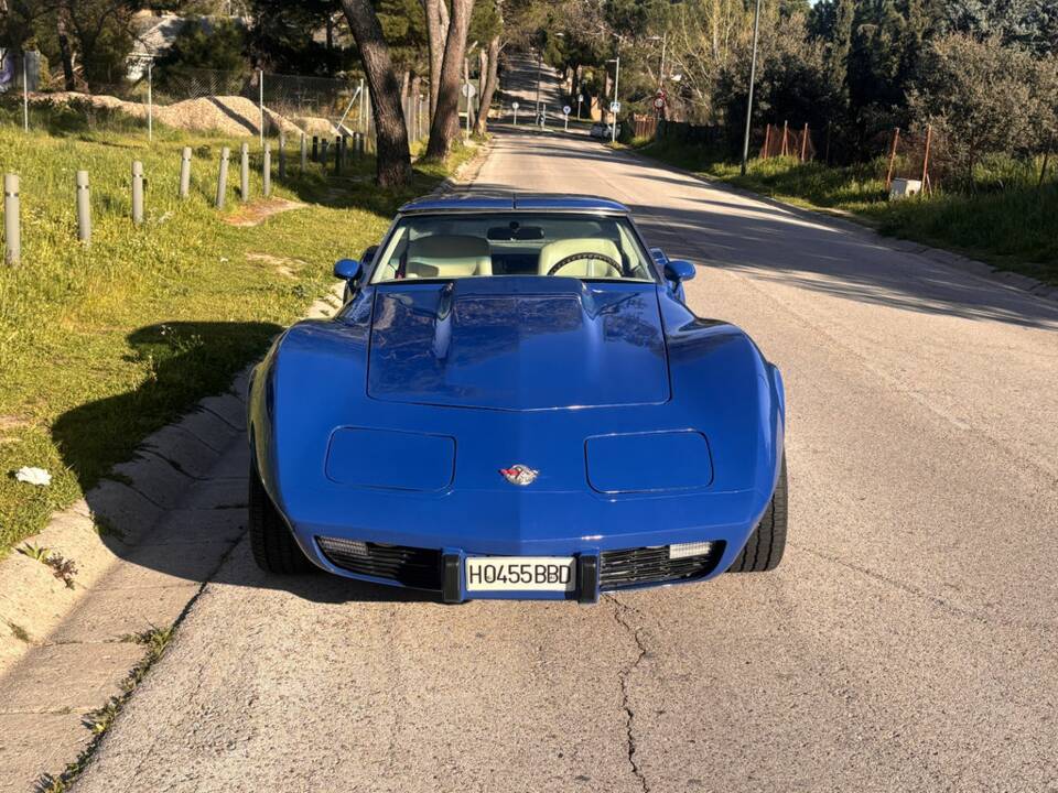 Bild 3/8 von Chevrolet Corvette Sting Ray (1981)