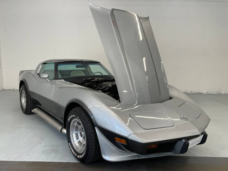 Bild 3/40 von Chevrolet Corvette 25th Anniversary (1978)