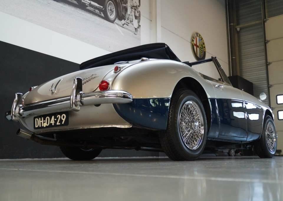 Image 31/50 de Austin-Healey 3000 Mk III (BJ8) (1965)