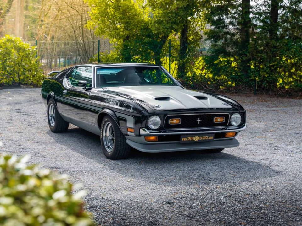 Immagine 9/48 di Ford Mustang Boss 351 (1970)