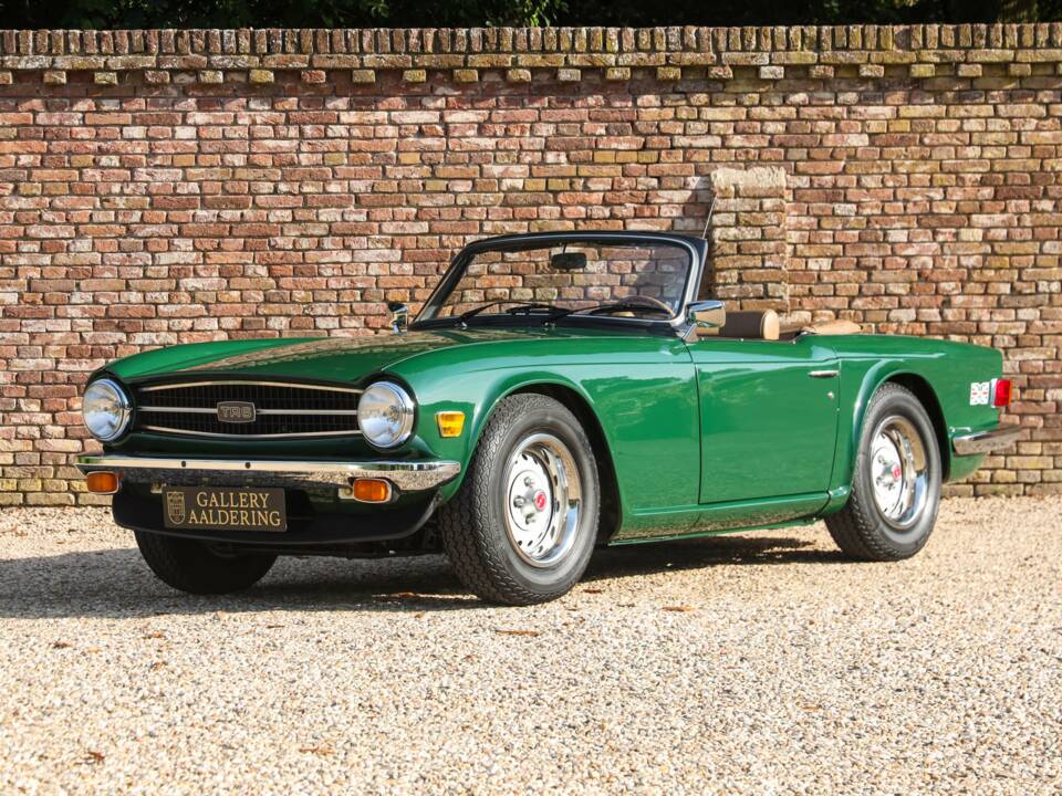 Immagine 11/50 di Triumph TR 6 (1976)