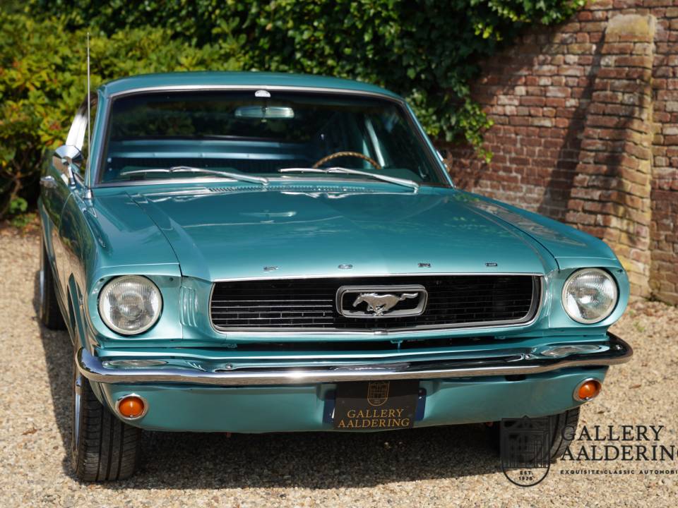 Image 41/50 de Ford Mustang 289 (1966)