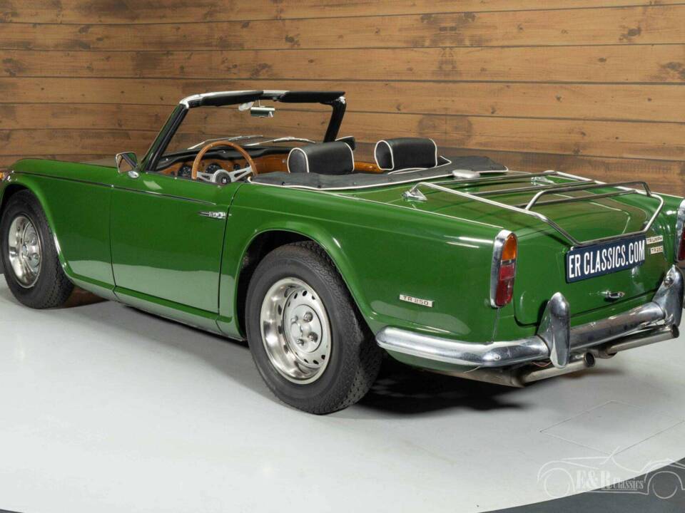 Immagine 16/19 di Triumph TR 250 (1967)