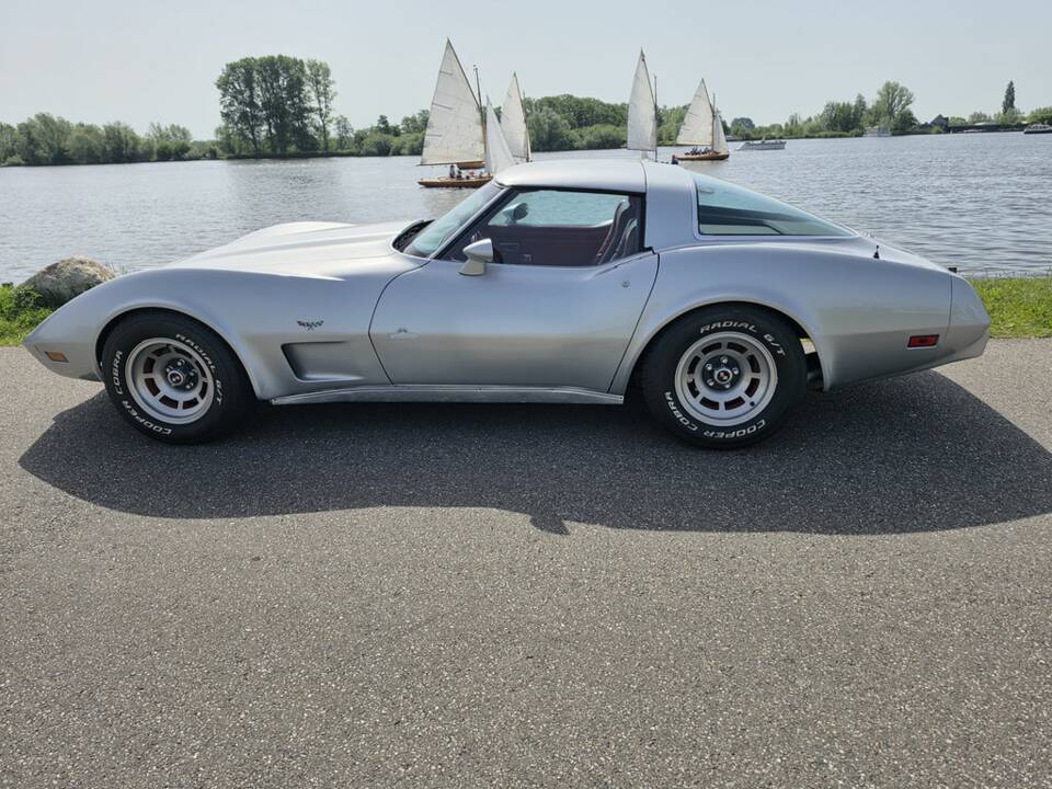 Afbeelding 6/8 van Chevrolet Corvette Sting Ray (1979)