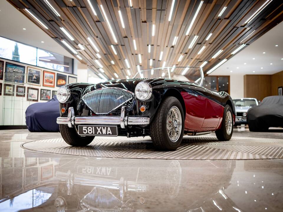 Bild 15/50 von Austin-Healey 100/4 (BN2) (1956)