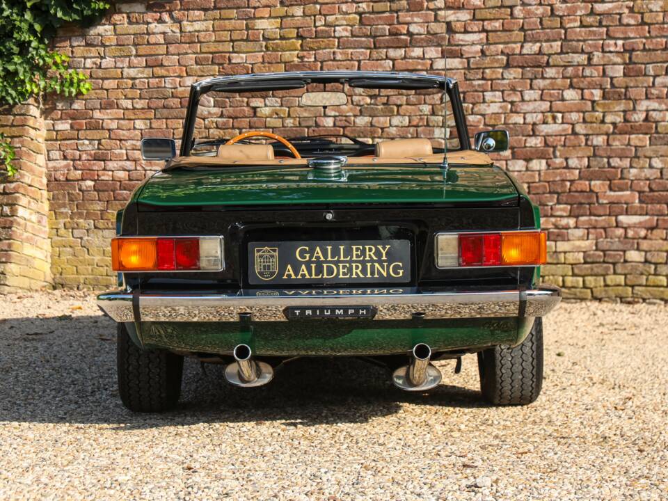 Immagine 35/50 di Triumph TR 6 (1976)