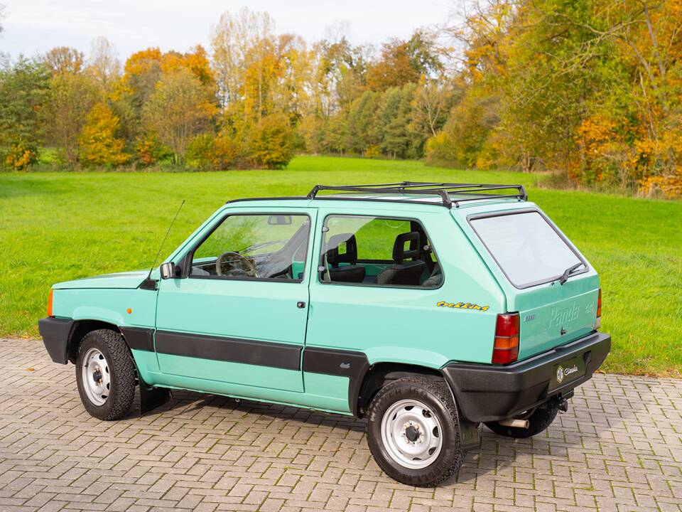 Afbeelding 4/39 van FIAT Panda Trecking 4x4 (2000)
