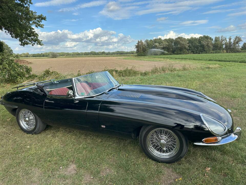 Image 5/23 de Jaguar Type E 4.2 (1964)