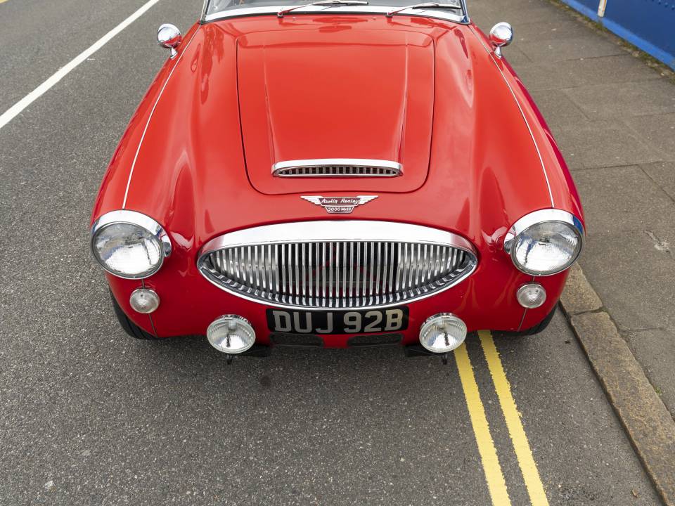 Afbeelding 10/35 van Austin-Healey 3000 Mk III (BJ8) (1964)