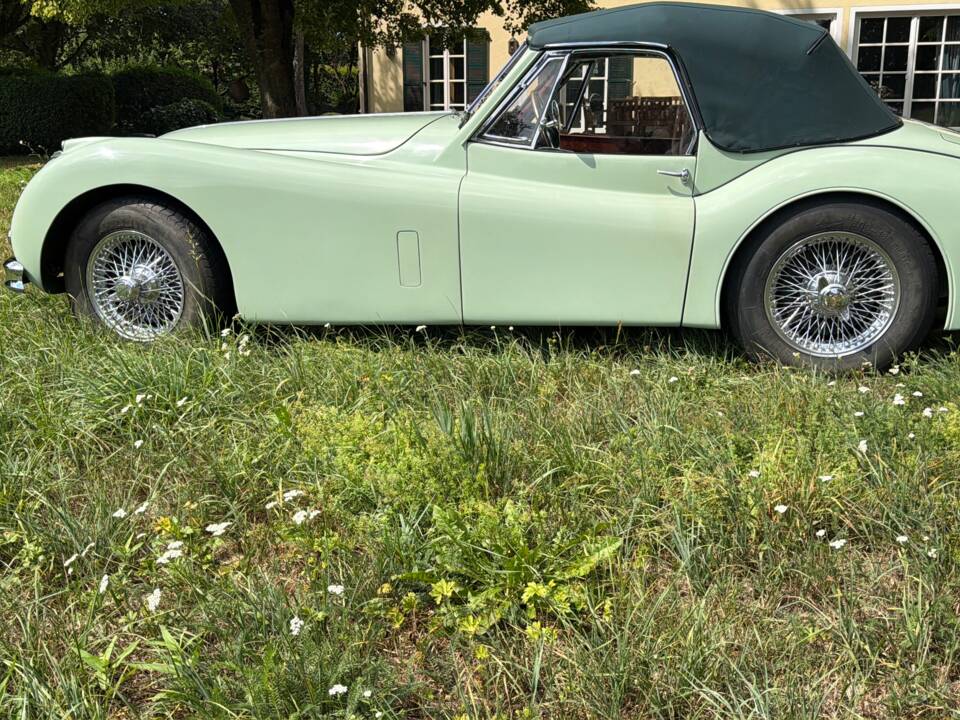 Image 4/23 of Jaguar XK 140 SE DHC (1955)