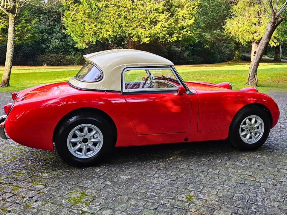 Image 5/11 of Austin-Healey Sprite Mk I (1961)