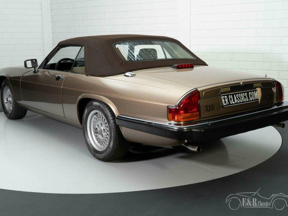 Image 7/19 de Jaguar XJS 5.3 V12 (1989)