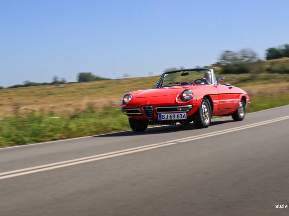 Image 43/44 of Alfa Romeo 1750 Spider Veloce (1969)