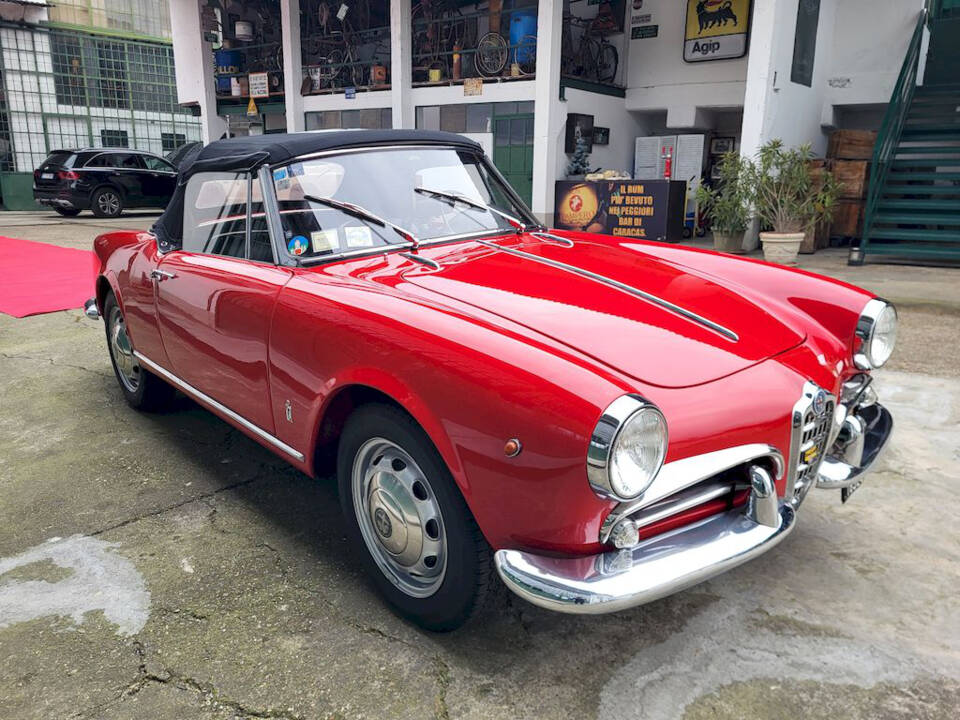Image 54/65 of Alfa Romeo Giulietta Spider (1962)