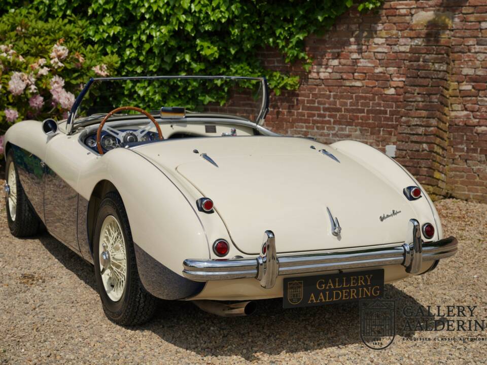 Immagine 28/50 di Austin-Healey 100/4 (BN1) (1954)