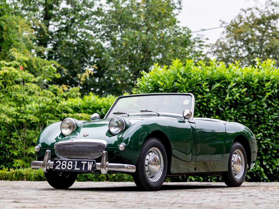 Bild 14/40 von Austin-Healey Sprite Mk I (1958)