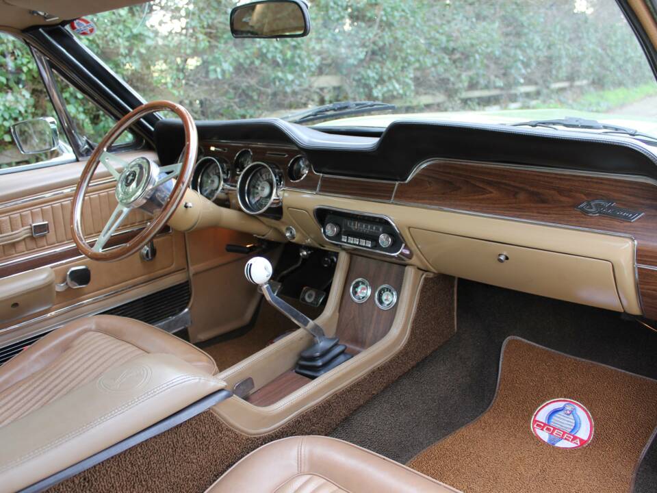 Immagine 11/21 di Ford Shelby GT 500 (1968)