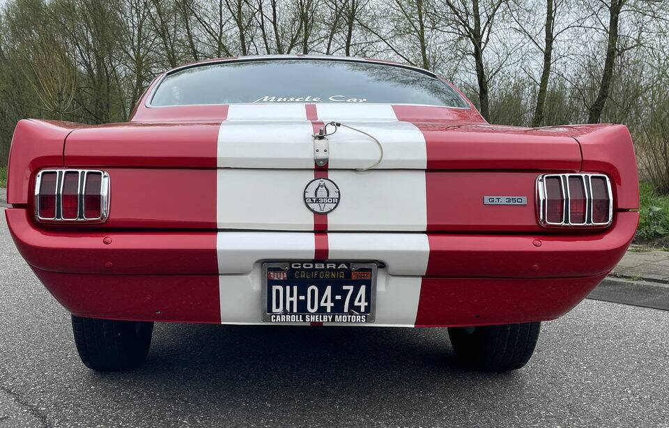 Imagen 6/7 de Ford Shelby GT 350 (1965)