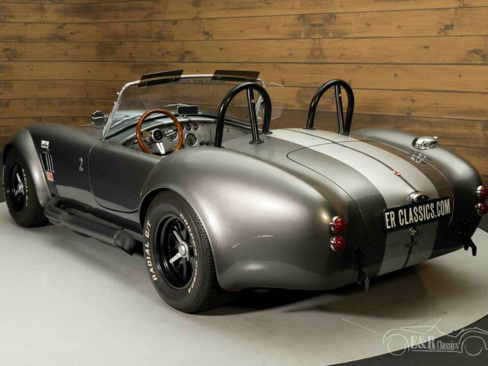 Bild 7/19 von AC Cobra 289 (1965)