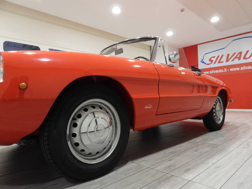 Immagine 5/15 di Alfa Romeo 1300 Spider Junior (1968)