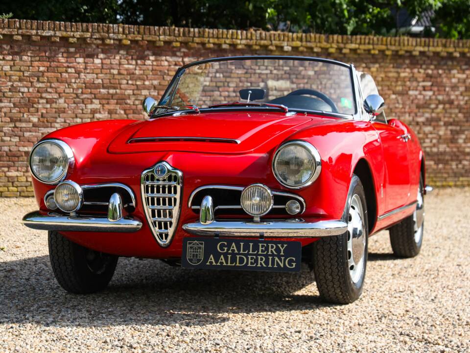 Bild 10/50 von Alfa Romeo Giulia 1600 Spider Veloce (1965)