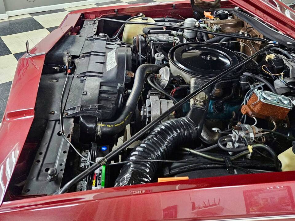 Immagine 18/20 di Oldsmobile Delta 88 Royale (1978)