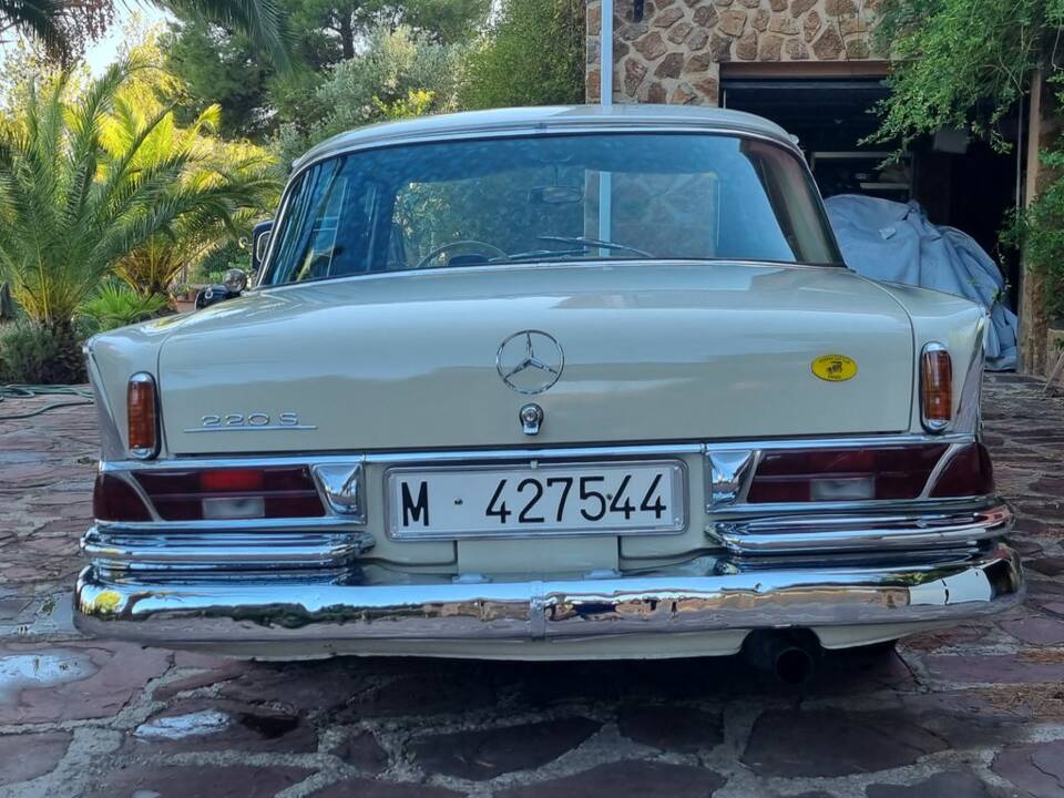 Bild 7/8 von Mercedes-Benz 220 S b (1965)