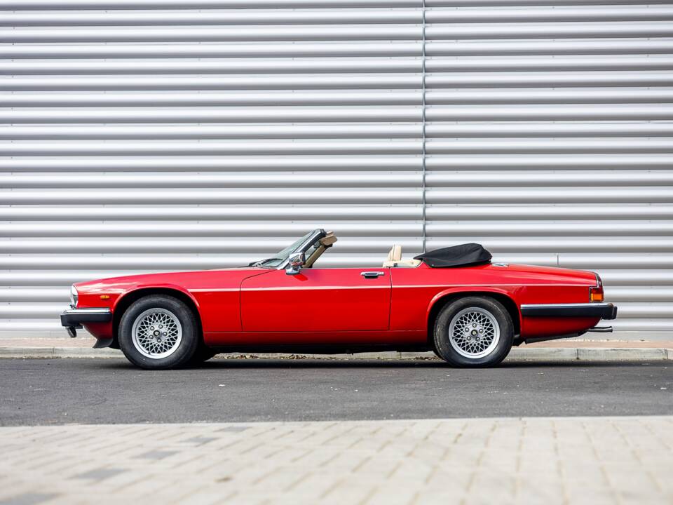 Bild 49/50 von Jaguar XJ-S Convertible (1989)
